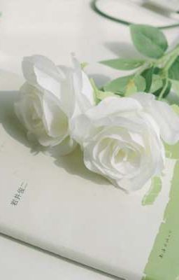 Bạch Hồng Chí Tôn