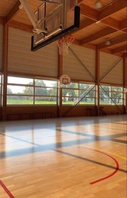 bách khoa kinh tế | trẩu à