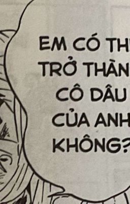 [Bạch Nguyệt Sơn Thanh|•Tbtn•] Trà vải hạt chia