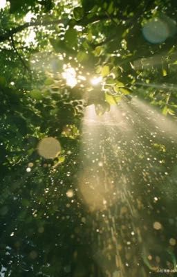 [Bạch Quang Vĩ Niên] Xuân Hạ Thu Đông Rồi Lại Xuân