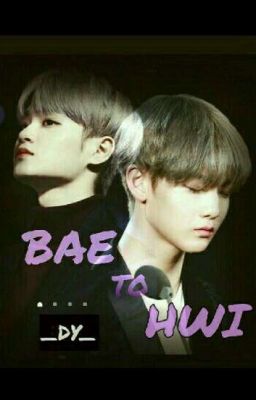 《BaeHwi|AllHwi》BAE to HWI