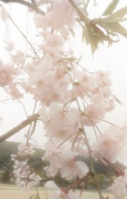 bạn người yêu