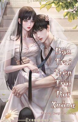 Bạn Trai Trên Trời Rơi Xuống