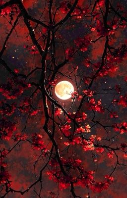 Bảo bạn phổ cập kiến thức huyền học, chứ không phải bảo bạn livestream bắt ma!