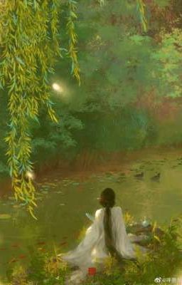 Bảo Liên Đăng