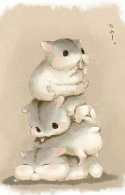 Bé hamster của giáo sư Tiêu 