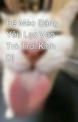 Bé Mèo Đáng Yêu Lạc Vào Trò Trơi Kinh Dị
