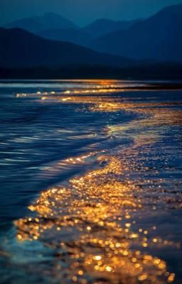 Bện sợi ký ức thành một vòng hoa