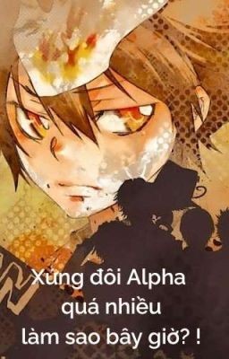 [Bị Drop]【All27/ABO】Xứng đôi Alpha quá nhiều làm sao bây giờ? !