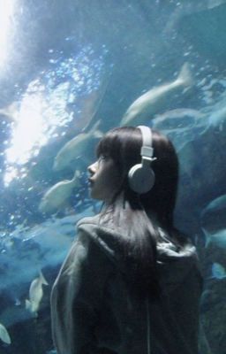 binhao, text ㅡ ai hỏi。