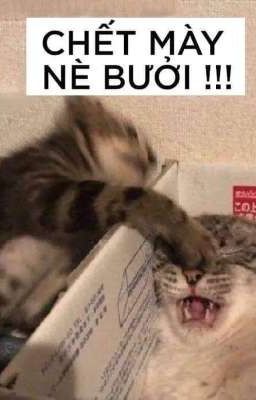 [BLLK][Allisagi] Đóng cửa thả...Chậm Đã ISAGI!!!