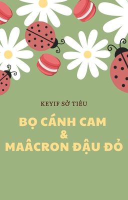 Bọ cánh cam & Macaron đậu đỏ