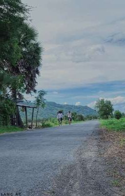Bỏ Lỡ