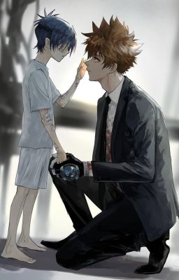 Bộ sưu tập KHR