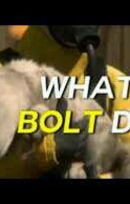 Bolt