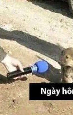 BOYS II PLANET ○ câu chuyện thường ngày của chung cư Số Là