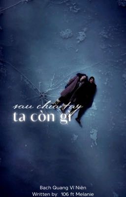 bqvn; sau chia tay ta còn gì?