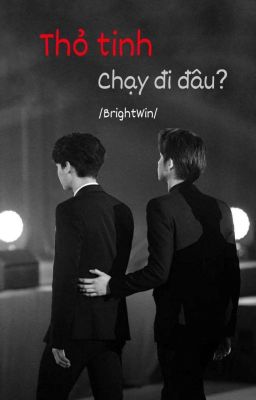 [ BrightWin ] Thỏ tinh, chạy đi đâu? 