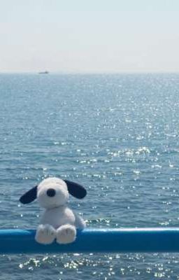  Bức thư cuối cùng [Hoàng x Khang]