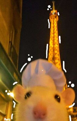 bùi duy ngọc × khôi vũ | tame me.