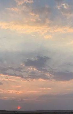 bunny and beaver in the wide sky