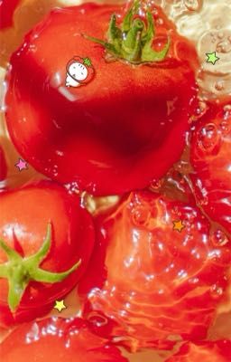 Cà Chua Vào Ngày Hè