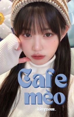 【 cafe mèo 】