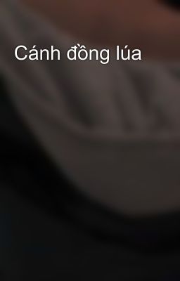 Cánh đồng lúa 