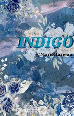 [CanMaker] Indigo