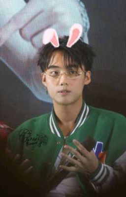Cáo nhỏ 🦊 [ Gemdoo ]