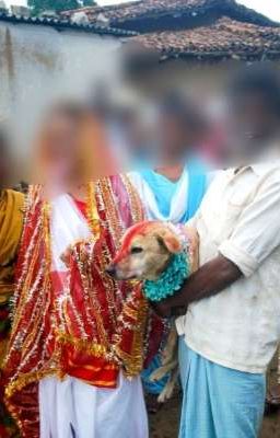 (CaoH) Câu Chuyện Về Một Cô Gái Ấn Độ (Oneshot)