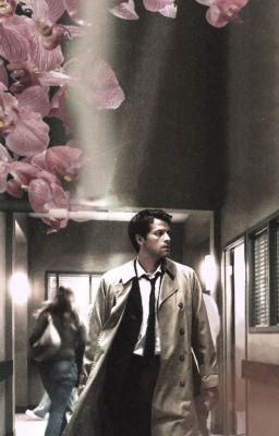 [CasDean/Destiel r18] - Sự khởi đầu