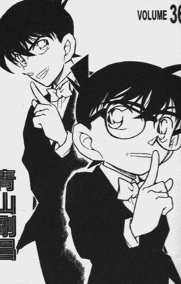 Case Disclosed [Conan / fic dịch]