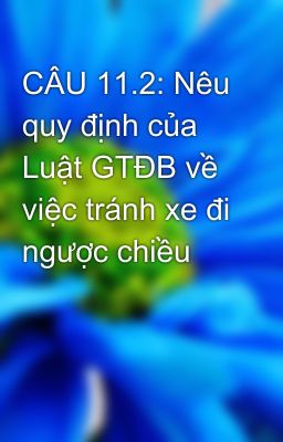 CÂU 11.2: Nêu quy định của Luật GTĐB về việc tránh xe đi ngược chiều