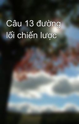 Câu 13 đường lối chiến lược