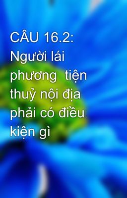 CÂU 16.2: Người lái phương  tiện thuỷ nội địa phải có điều kiện gì