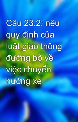 Câu 23.2: nêu quy định của luật giao thông đường bộ về việc chuyển hướng xe