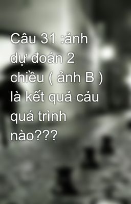 Câu 31 :ảnh dự đoán 2 chiều ( ảnh B ) là kết quả cảu quá trình nào???