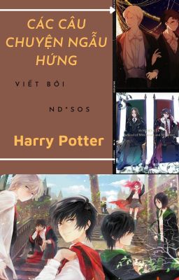 Câu chuyện ngẫu hứng Harry Potter