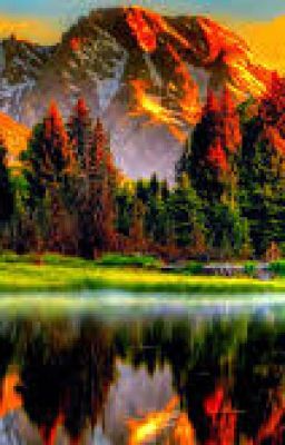 Câu chuyện về Jenki