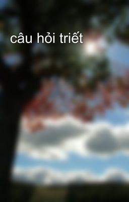 câu hỏi triết