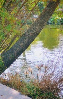 Cậu Là Ánh Dương Ấm Áp Nhất