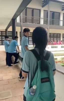 Cậu Là Hồi Ức Nắng Hạ 