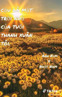 cậu là mặt trời nhỏ của tuổi thanh xuân tôi.