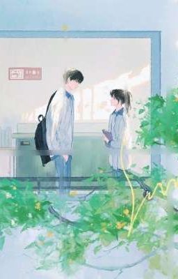 Cậu Là Mùa Hạ Của Tớ