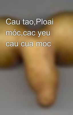 Cau tao,Ploai móc,cac yeu cau cua moc