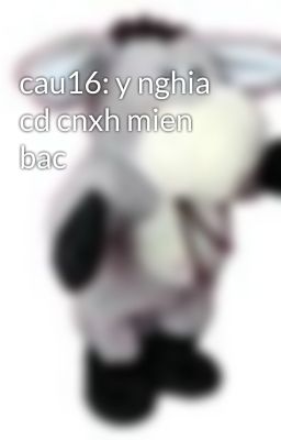 cau16: y nghia cd cnxh mien bac