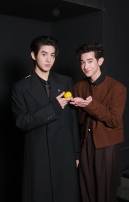 Cây cam ở nhà cậu ấy nhưng quả cam luôn rơi vào nhà tôi