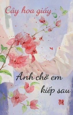 Cây hoa giấy:anh chờ em đến kiếp sau