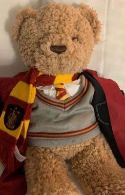 [Cedric Diggory] Anonymous friend